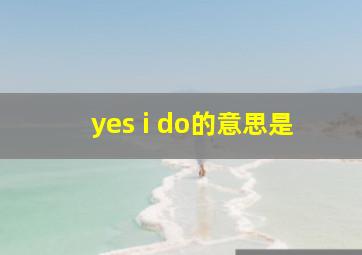 yes i do的意思是